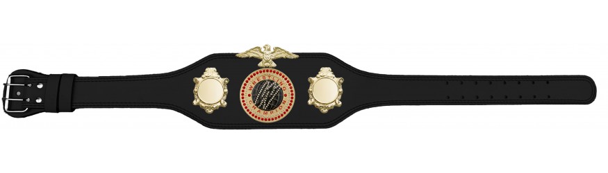 WRESTLING CHAMPIONSHIP BELT-BUD004/G/WRESTGEMG-4 COLOURS